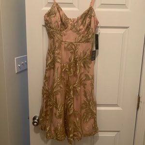 Lulus nude/gold party dress